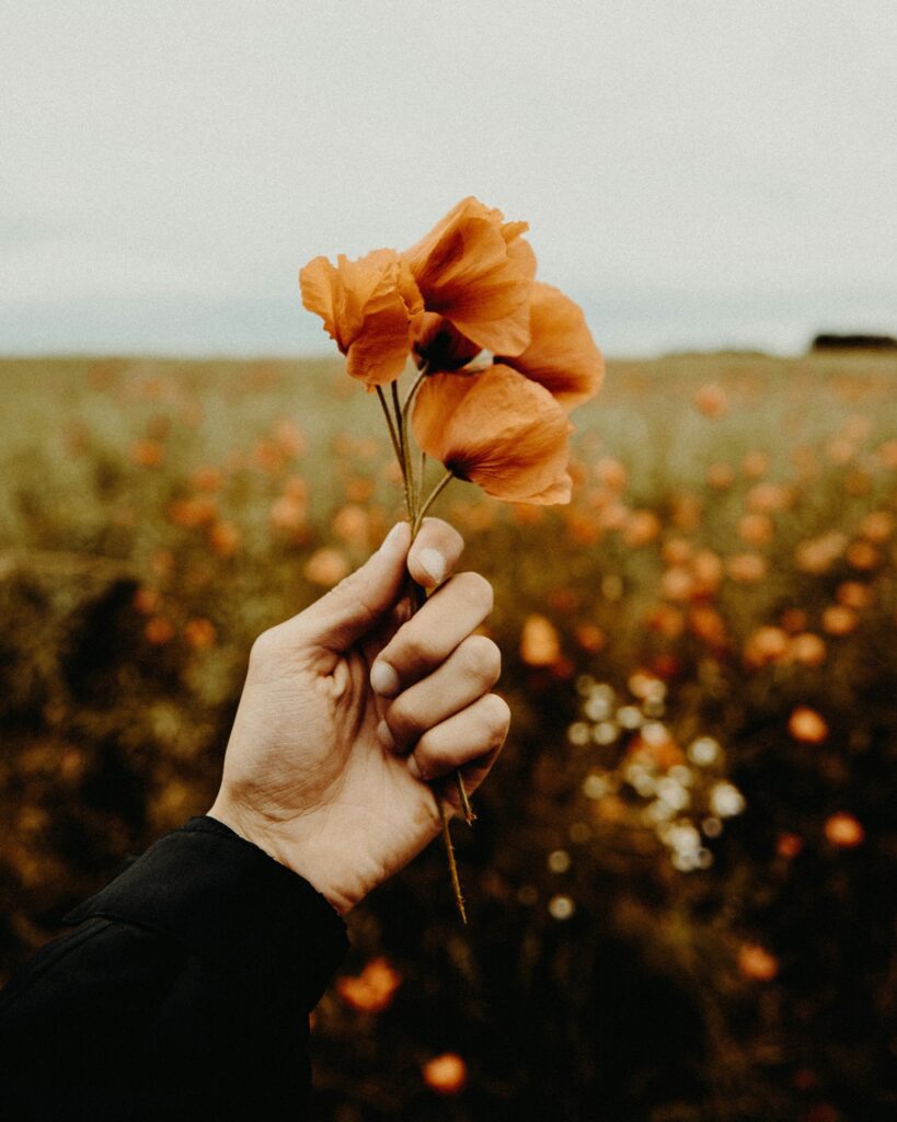 Hand holding a flower in the Individual Ketamine Assisted Psychotherapy page